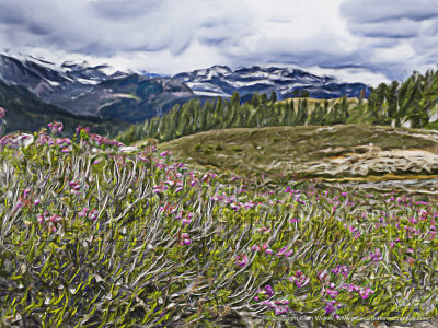Hike to Elfin Lakes - Garabaldi Park - 48x36.jpg