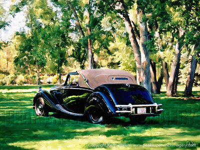 Jag in the Park - 24x18.jpg
