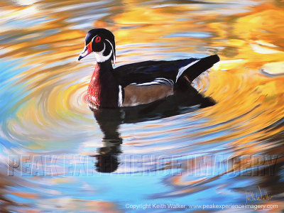 Jewel of the Pond - 36x27.jpg