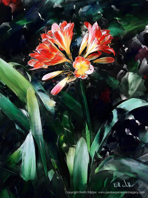 Jungle Bloom - 18x24.jpg