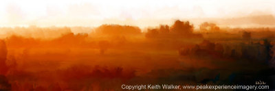 Layers of Gold - 36x12.jpg