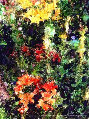 Lily Explosion - 18x24.jpg