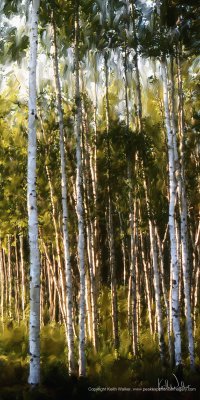Magical Light in the Birches - 18x36.jpg