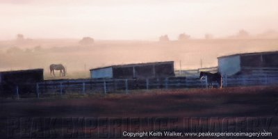 Misty Sunrise - 24x12.jpg