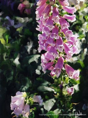 Nature's Bells - 18x24.jpg
