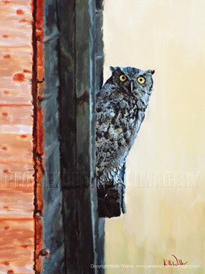 Peekaboo - 18x24.jpg