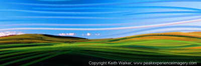 Prairie Waves - 36x12.jpg