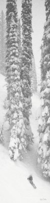 Sliding with the Giants - 9 x 36.jpg