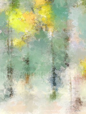 Spring Colour in the Birches - 27x36.jpg
