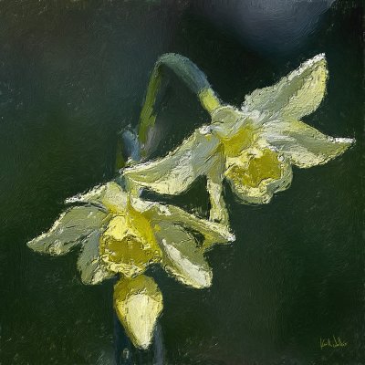 Spring Daffodils - 40x40.jpg