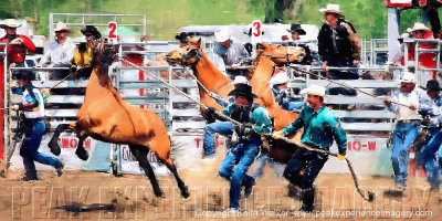 Wild Horse Race I - 36x18.jpg