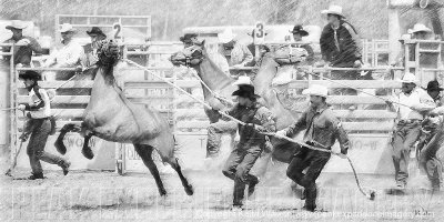 Wild Horse Race II - 36x18.jpg