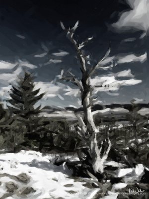 Windblown Hilltop - 27x36.jpg