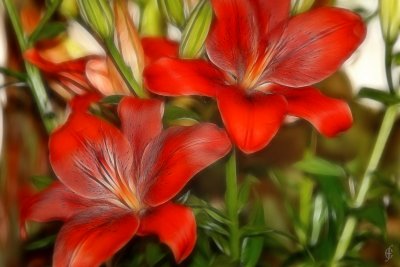 Floral VI - 2000.jpg