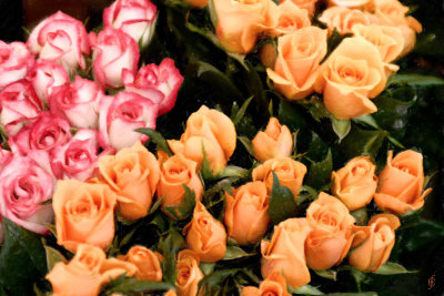Subtle Beauty I - 2000.jpg