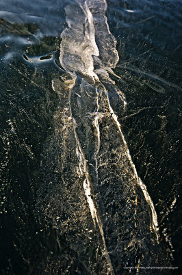 11-12-28-059a.JPG