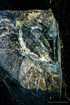 11-12-28-085a.JPG