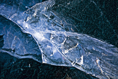 11-12-28-096a.JPG