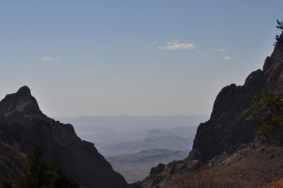 The Window