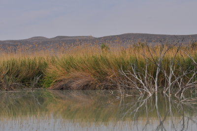 Artificial Pond along Rio Grande