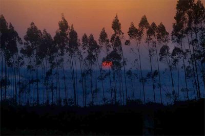 DSC_9313-munnar-sunset.jpg