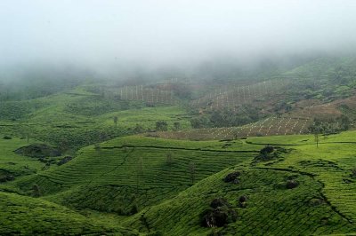 munnar_kerala