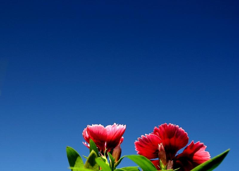 Upwards