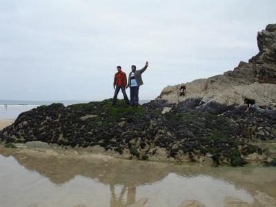 At_new_Quay_Beach.JPG