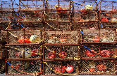 Crab Fishing Cases