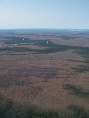 Basses terres, Baie-James