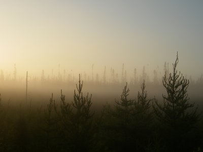 Lever de soleil, Lebel-sur-Quévillon