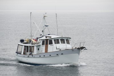 g4/72/696972/3/137597845.j3KLG2YC.jpg