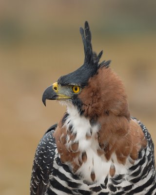 g4/72/728372/3/139844314.TzIkYM0Z.jpg