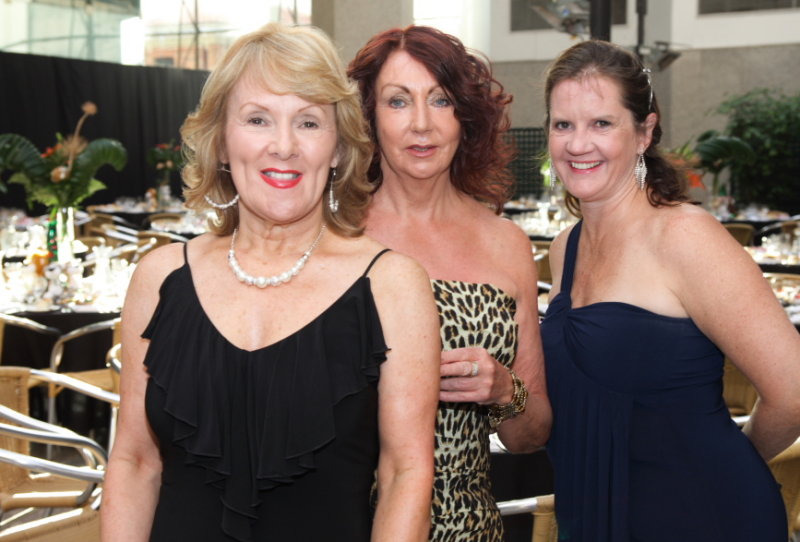 BESCBall2011_0009.JPG