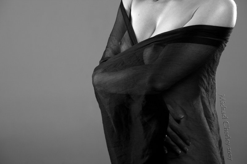 Laura Artistic Nude