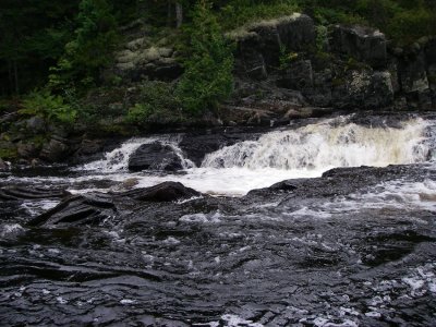 IMGP5895.JPG