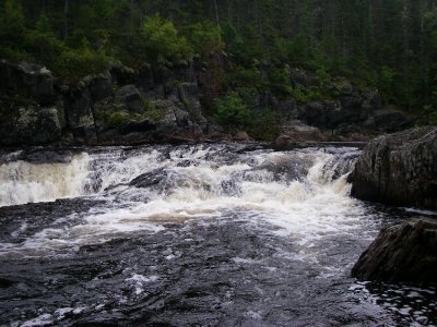 IMGP5896.JPG