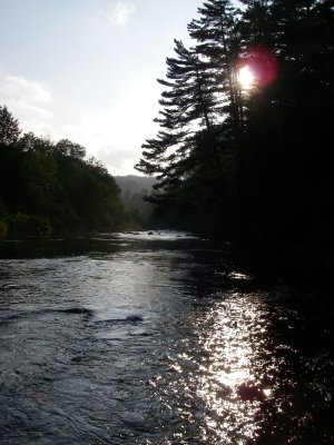 IMGP5898.JPG