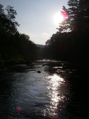 IMGP5900.JPG