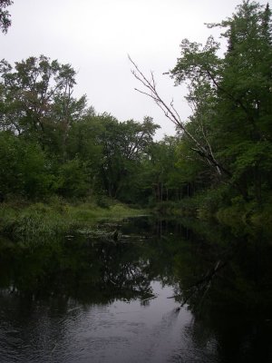 IMGP5903.JPG