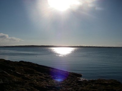 IMGP7229.JPG