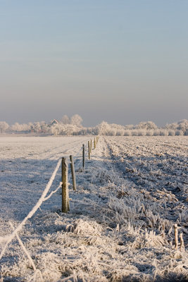 Frozen field