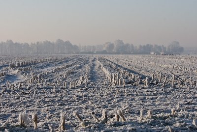 Frozen fields