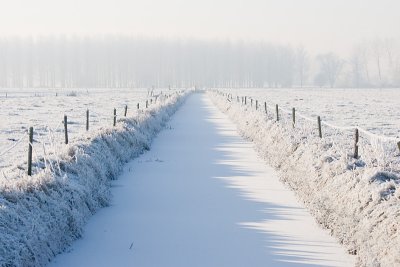 Frozen ditch