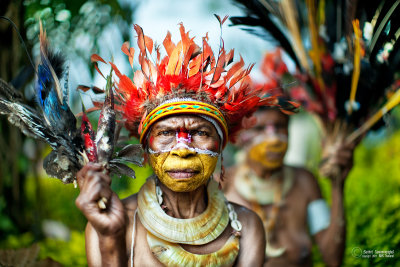 Portrait Of Papua New Guinea