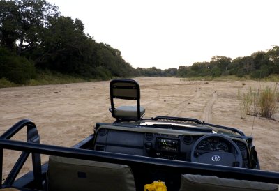 Timbavati river bed at Ngala