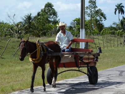 Horse cart taxi