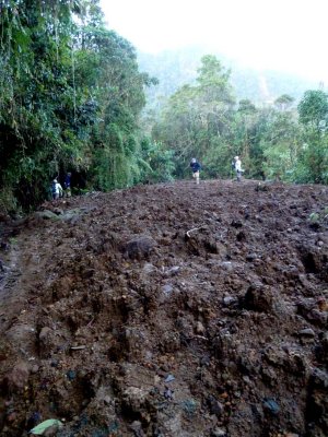 Mudslide at Loro Orejiamarillo Reserve