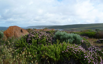 Cape Leeuwin