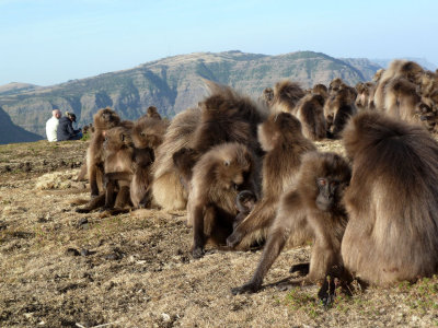 Simien Mountains